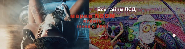 амф Абинск