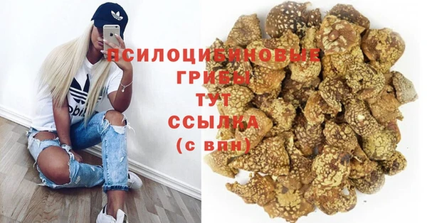 амф Абинск