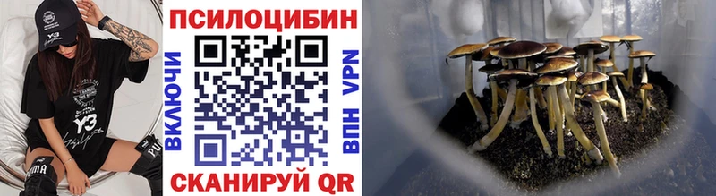 ОМГ ОМГ как войти  Шали  Псилоцибиновые грибы мухоморы  хочу наркоту 